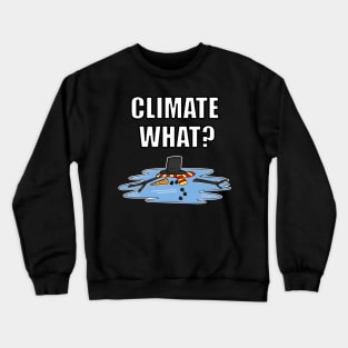 Climate What Melted Snowman Christmas 2020 Funny Crewneck Sweatshirt